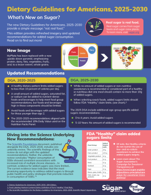 2025-2030 DGA Overview on Added Sugars