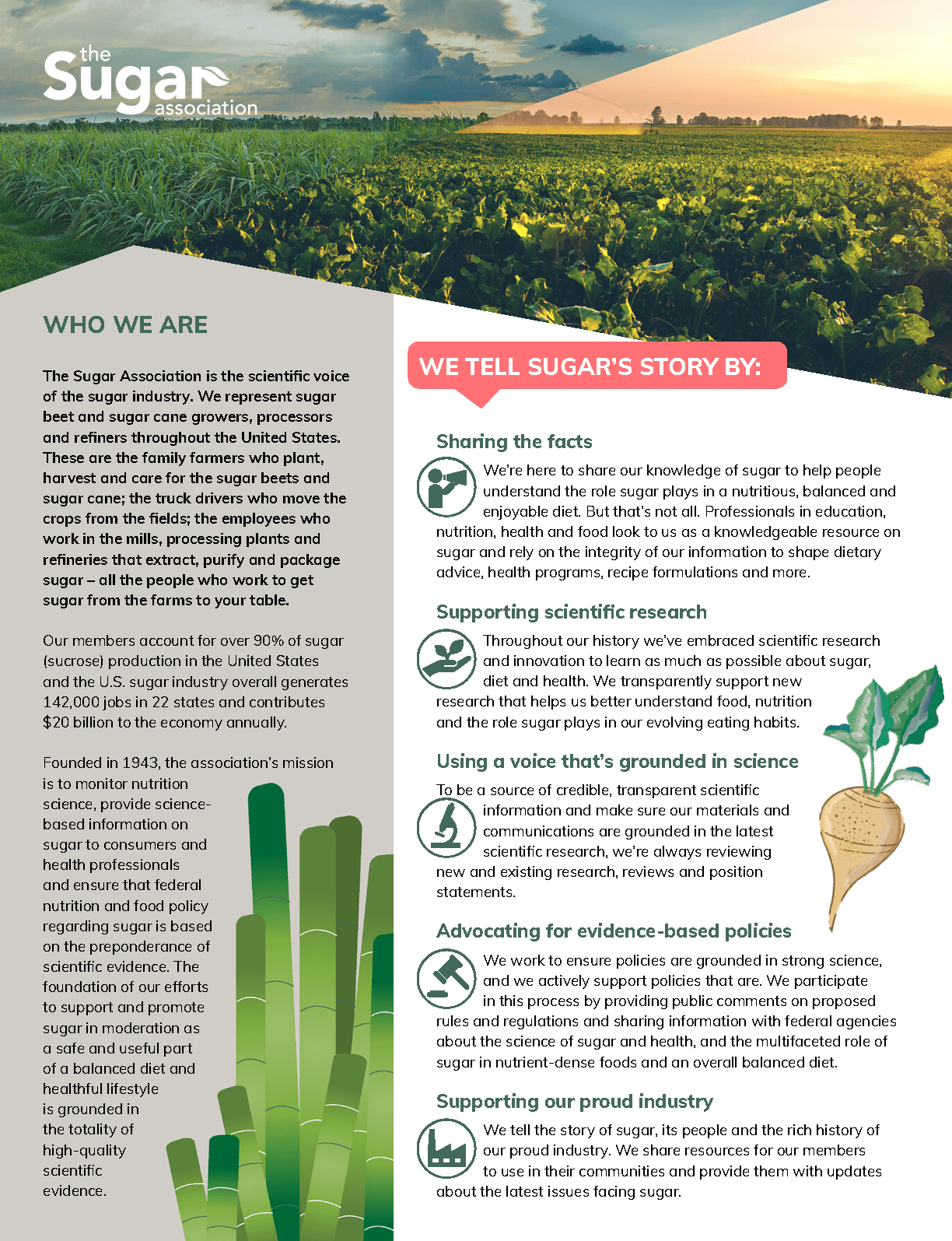 About the Sugar Association