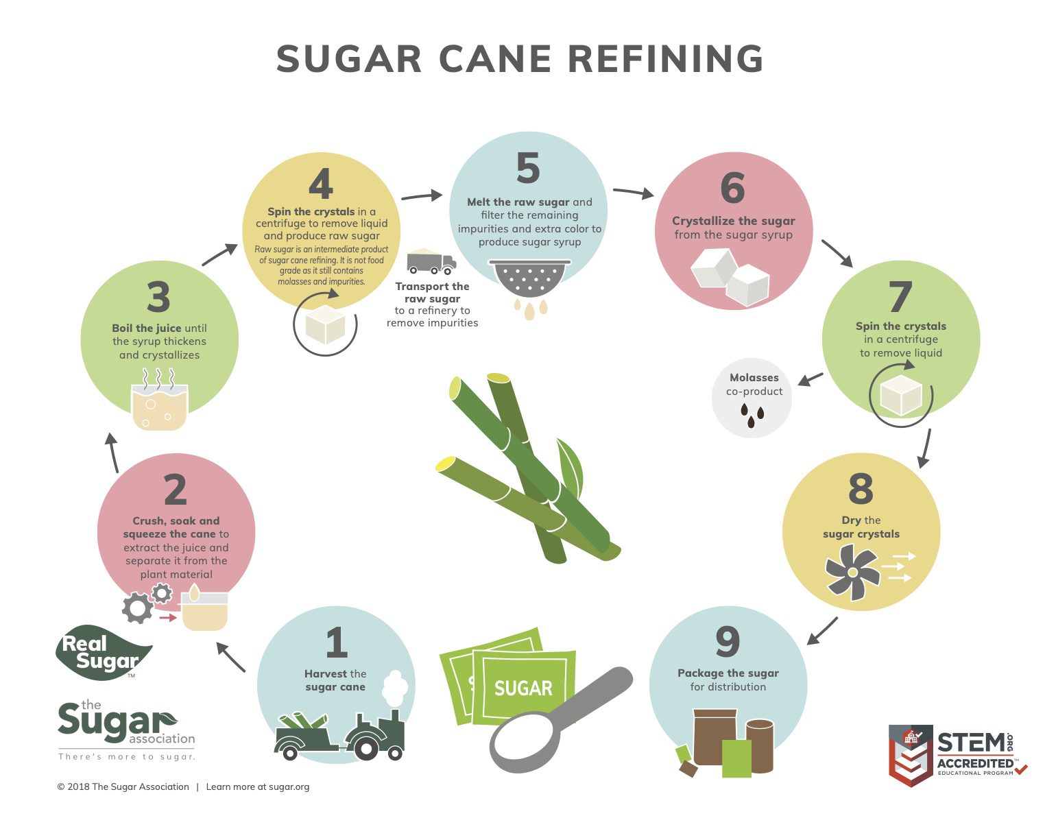 Sugar Cane Refining Infograph