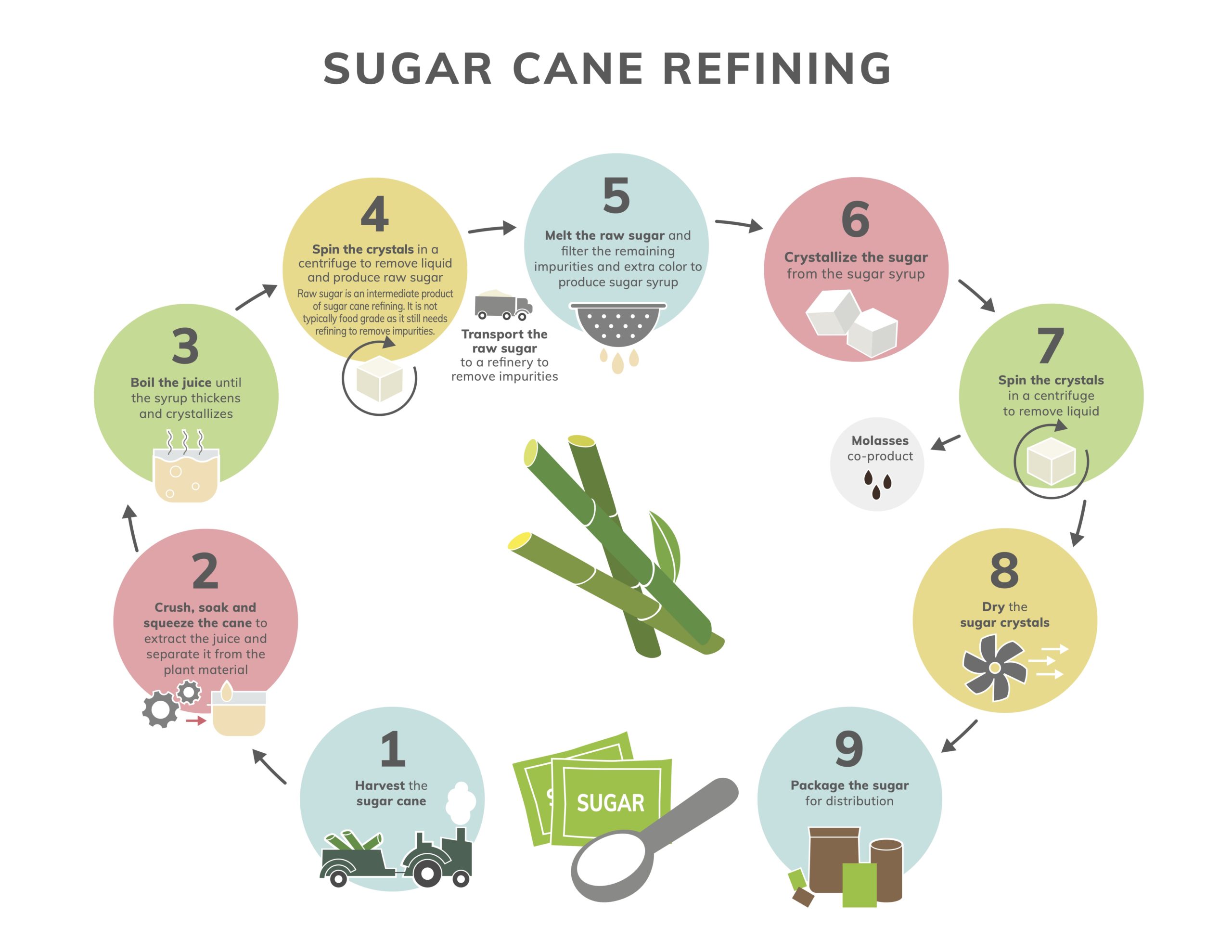 Refining & Processing Real Sugar   Sugar.org