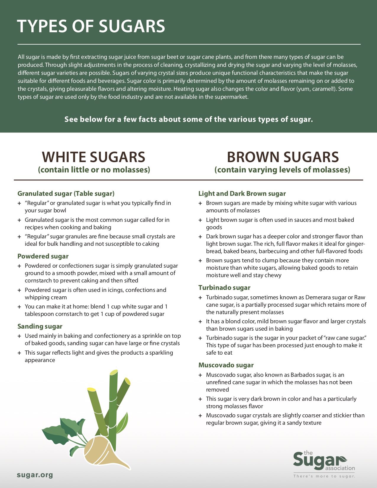 Types of Sugar