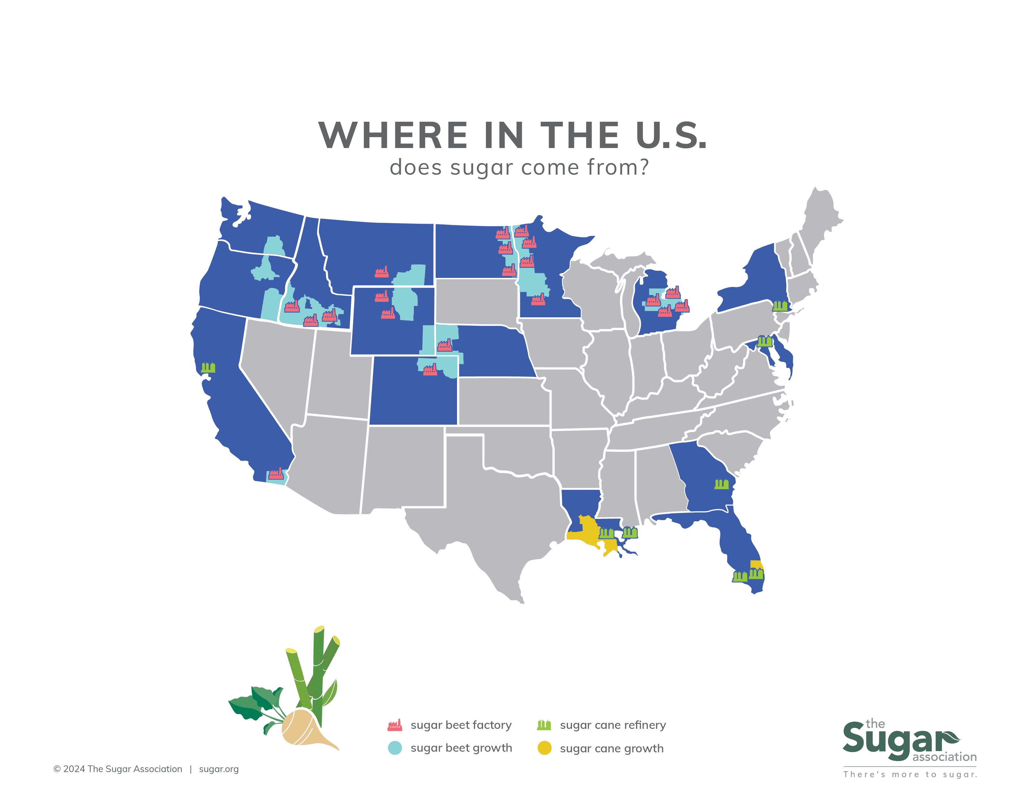 Where in the U.S. Does Sugar Come From