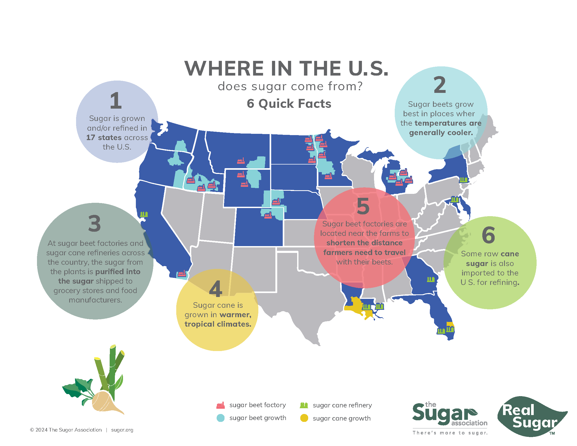 Where Does Sugar Come From?