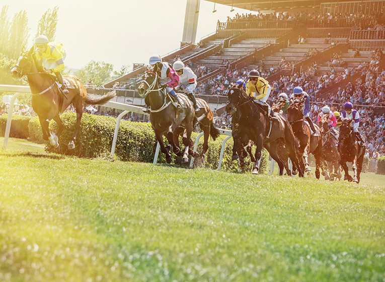 kentucky derby horses eat sugar from beets